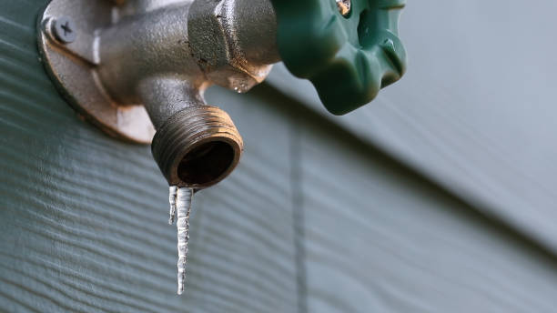 Best Clogged Drain Plumber  in Lakeport, CA